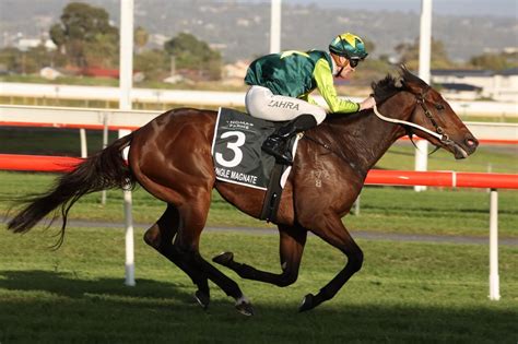 south australian derby winners.